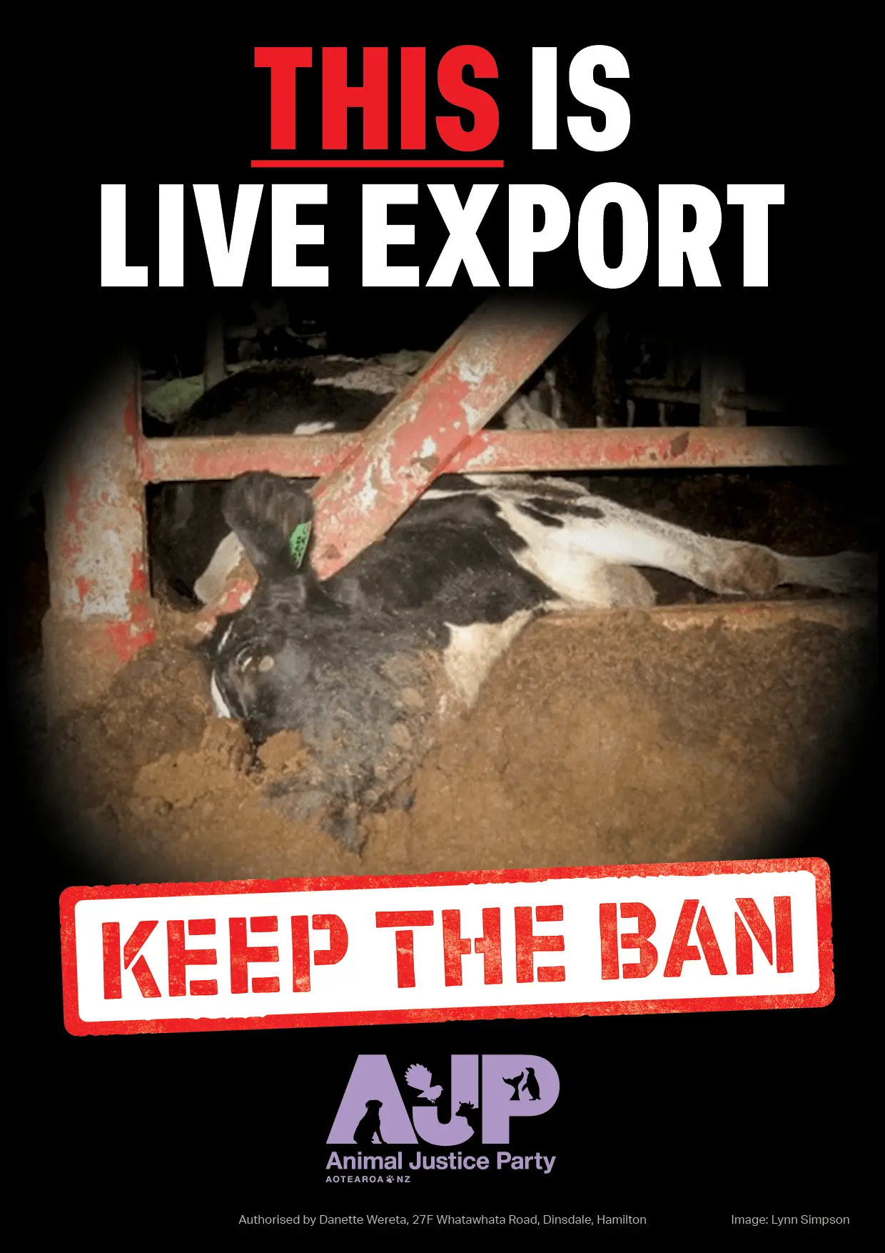 AJP Live Export A4