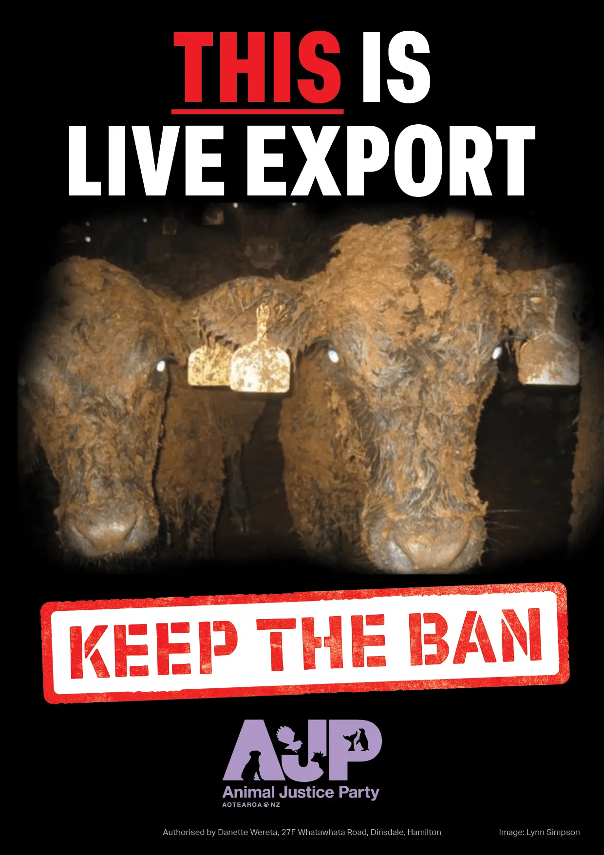 AJP Live Export A42