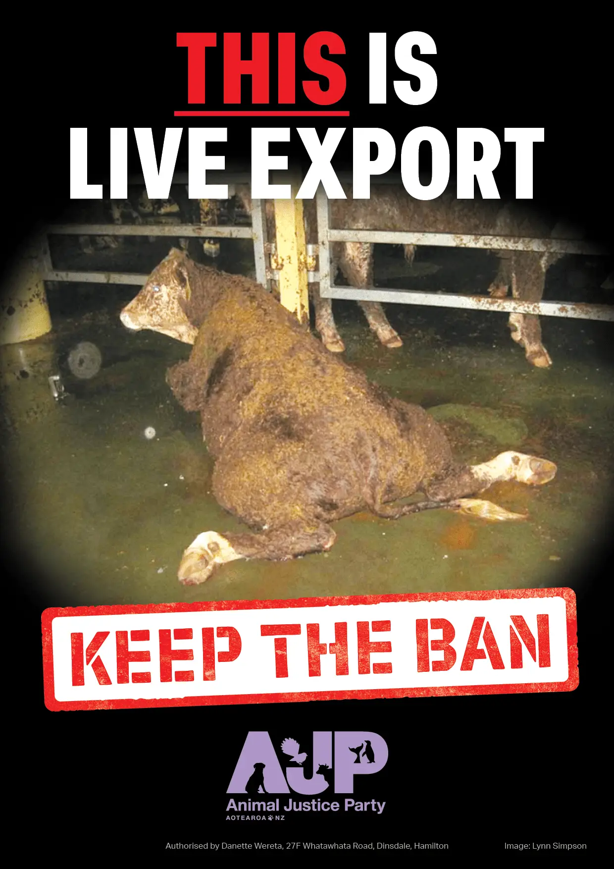 AJP Live Export A43