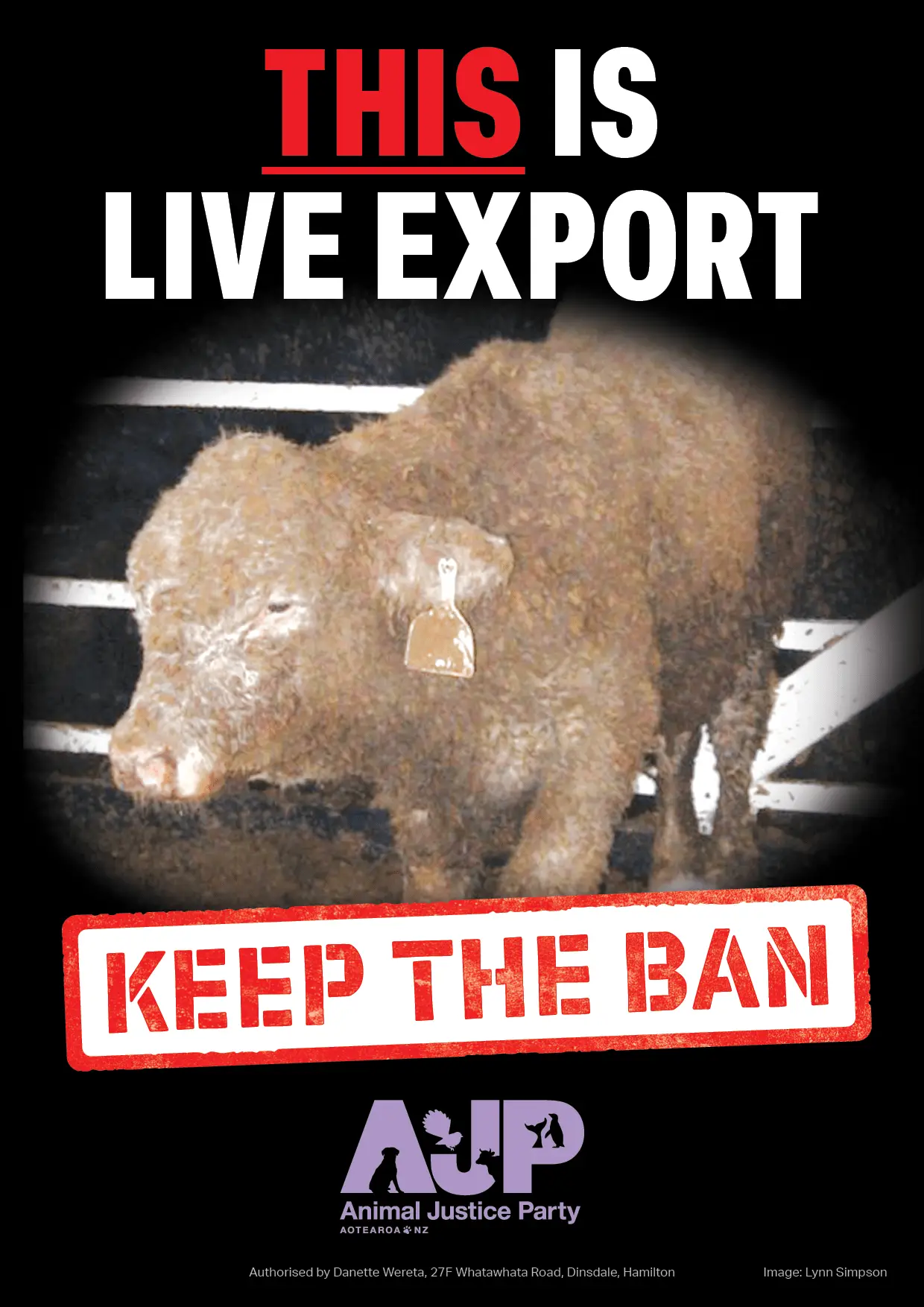 AJP Live Export A44